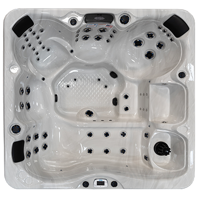 Avalon-X EC-867LX hot tubs for sale in hot tubs spas for sale Fort Lauderdale