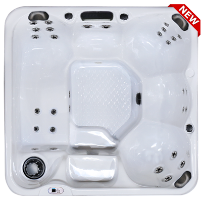 Hawaiian Plus PPZ-628L hot tubs for sale in hot tubs spas for sale Fort Lauderdale