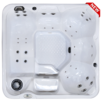 Hawaiian PZ-636L hot tubs for sale in hot tubs spas for sale Fort Lauderdale